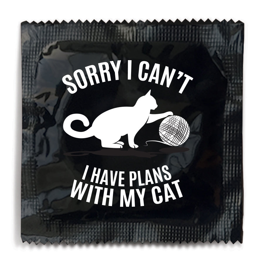Sorry, I Can't Talk With My Cats Plans